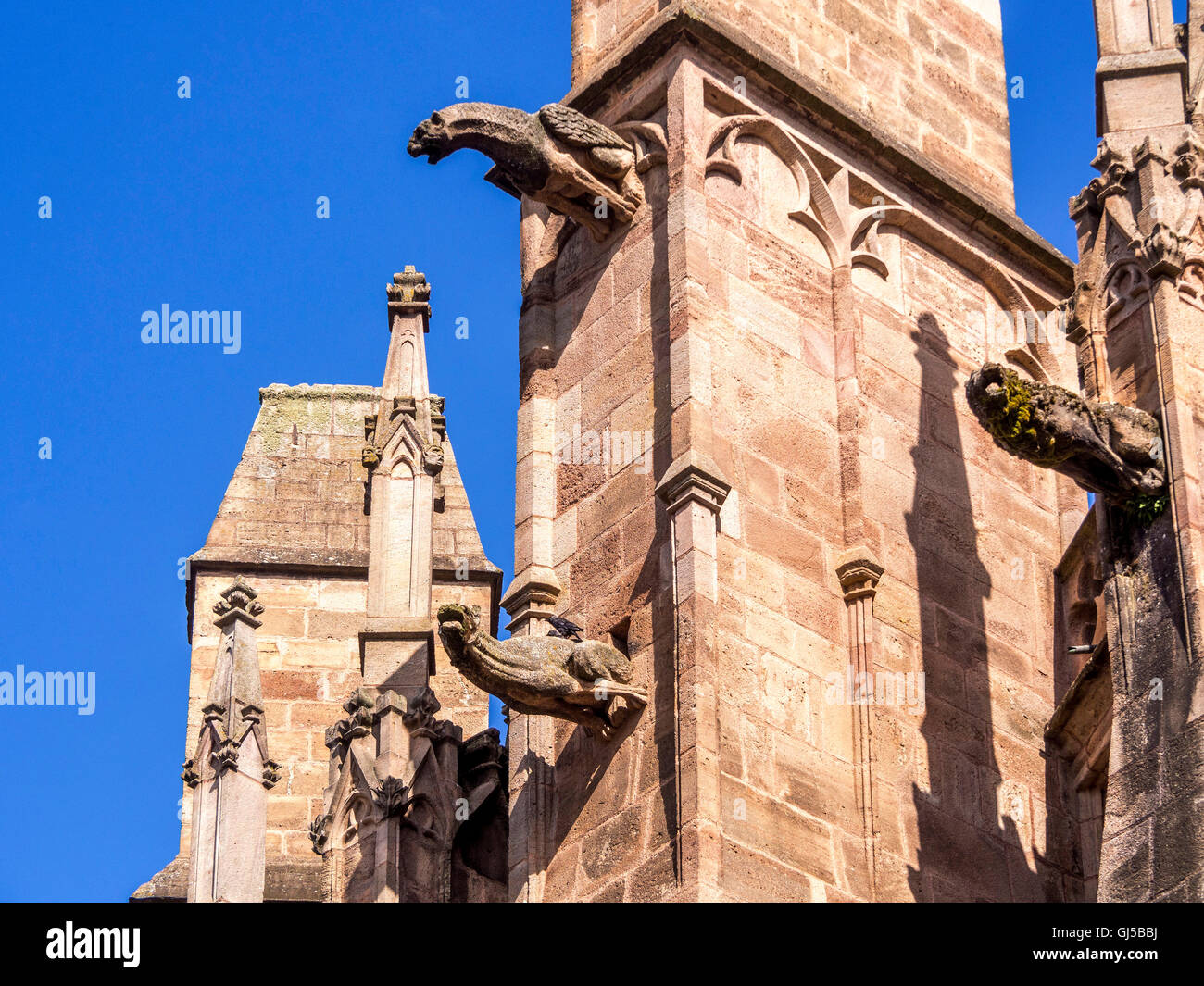 Rodez. Les gargouilles de la Cathédrale Notre Dame. L'Aveyron. France Banque D'Images