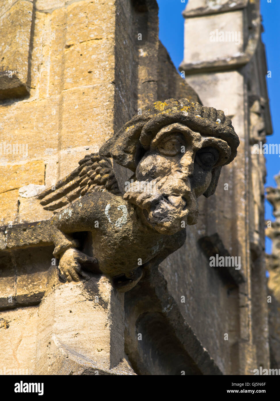 dh St Peters Eglise normande WINCHCOMBE GLOUCESTERSHIRE Gargoyle historique anglais royaume-uni la religion médiévale gargouilles tête Banque D'Images