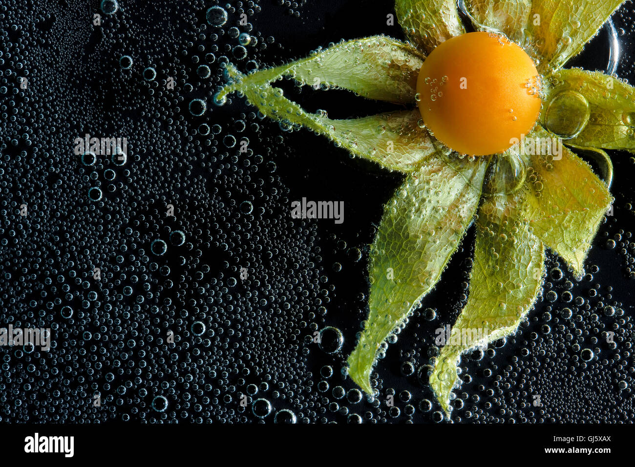 Physalis berry dans de l'eau minérale, une série de photos. Close-up de l'eau gazéifiée sur fond noir Banque D'Images