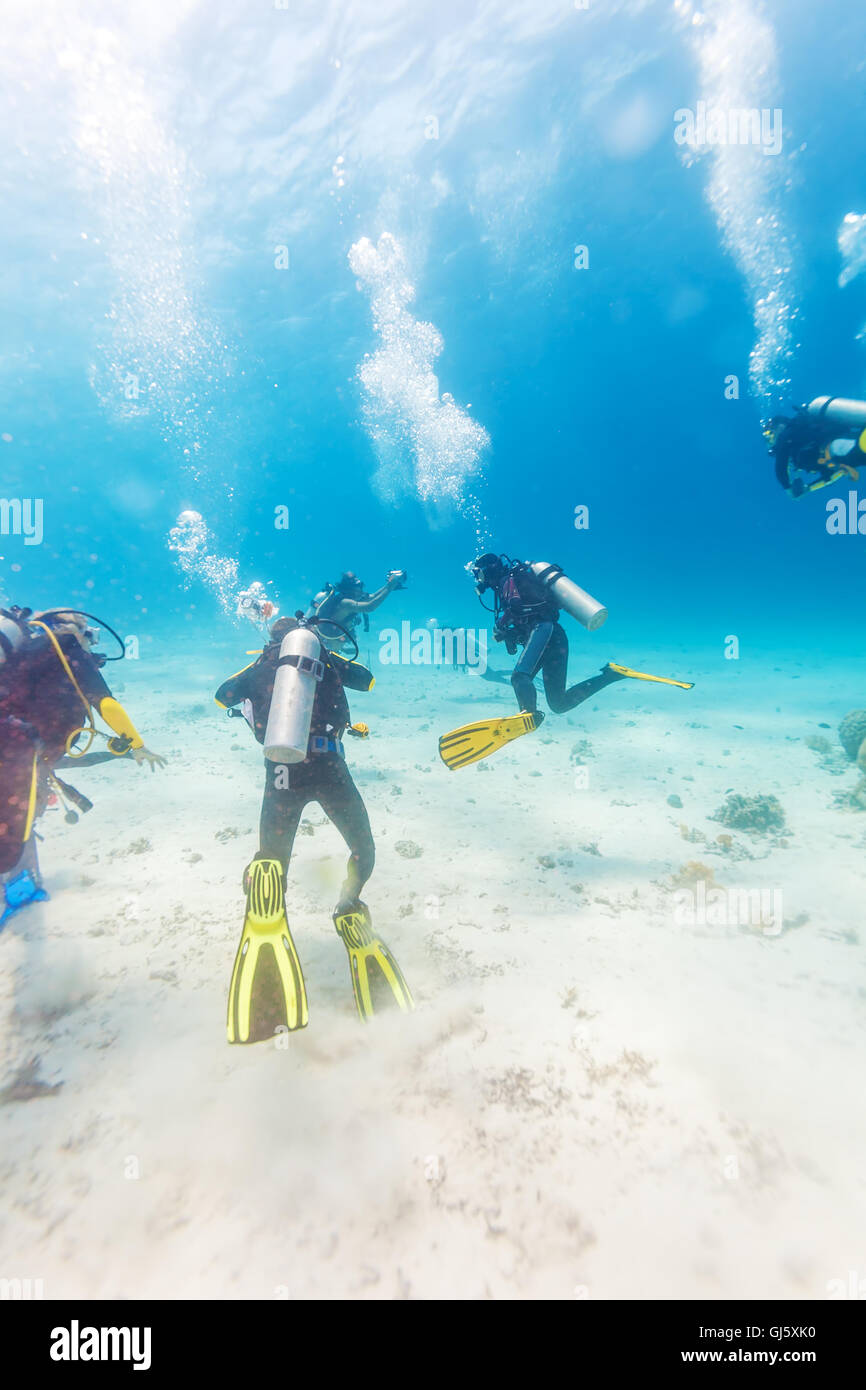 Groupe de plongeurs au-dessus le fond de sable, Bali Banque D'Images