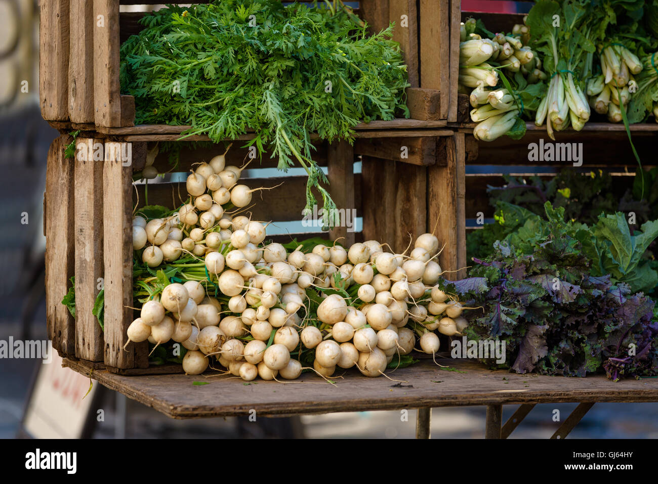 Légumes frais (carottes, choux, navets et blettes) de Union Square Greenmarket farmers market, Manhattan, New York City Banque D'Images
