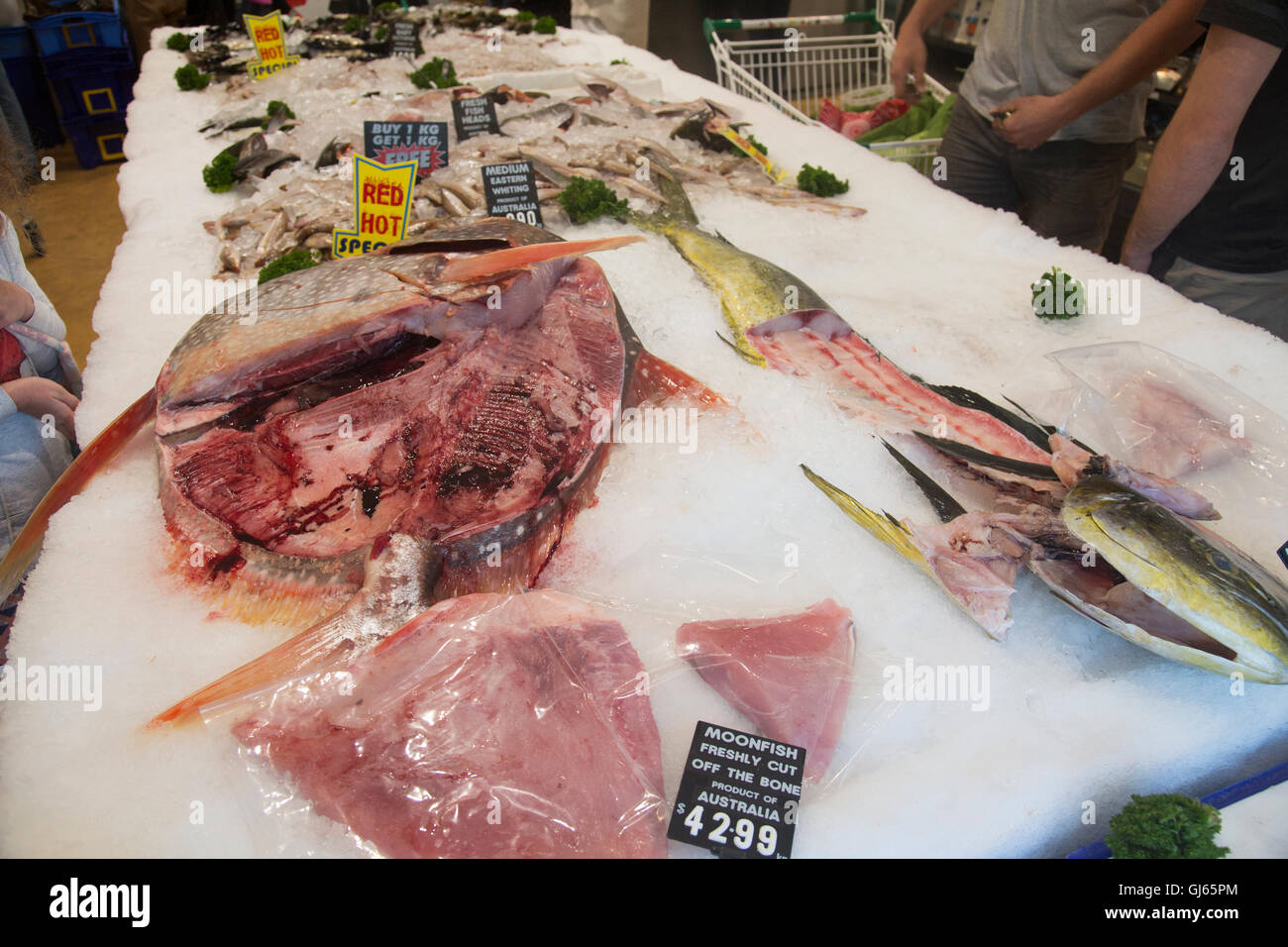 Moonfish Opah ( lampriform ou pélagique) gros poissons colorés, ici dans un magasin poissonnier Sydney Australie,boutique Banque D'Images