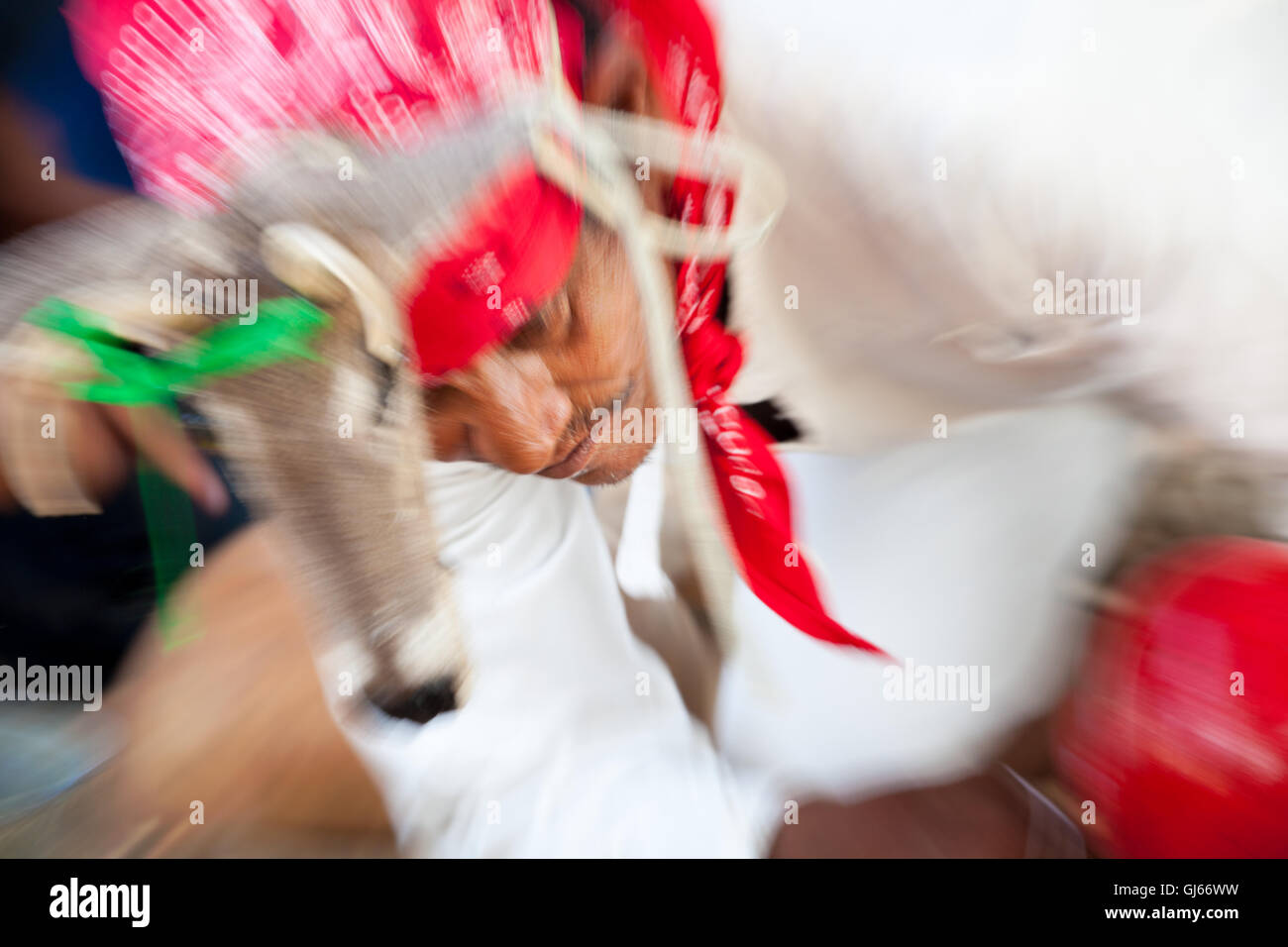 Mouvement d'un danseur Mayo Yoreme effectuant la traditionnelle Danza del Venado dans le village d'Capomos près de El Fuerte, Mexique. Banque D'Images