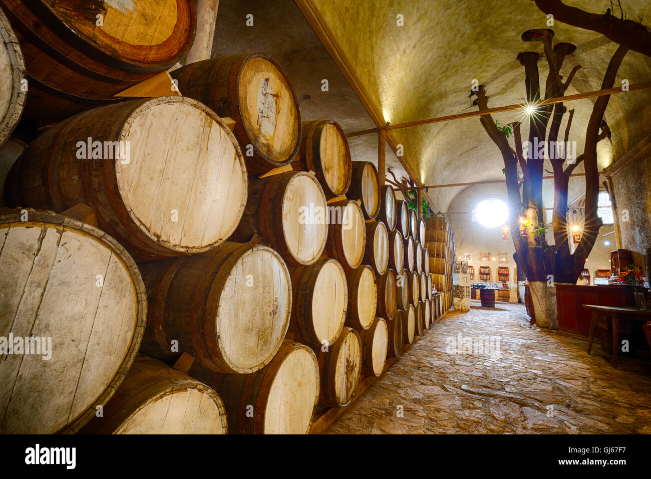 Barils de Pin utilisé pour le vieillissement de la tequila forment un mur à l'intérieur de l'Hacienda La cofradía en Tequila, Jalisco, Mexique. Banque D'Images