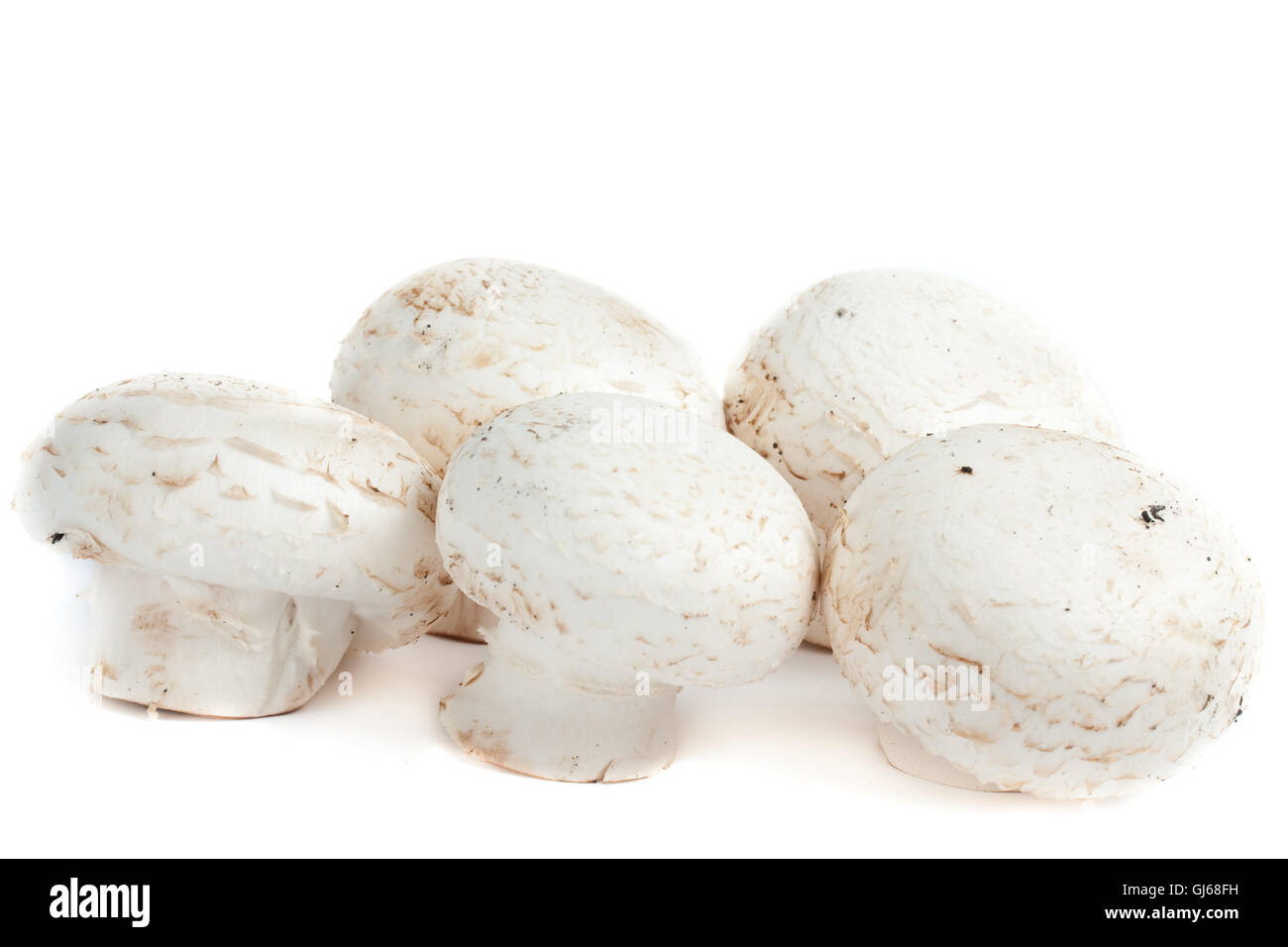 Cinq champignons Banque D'Images