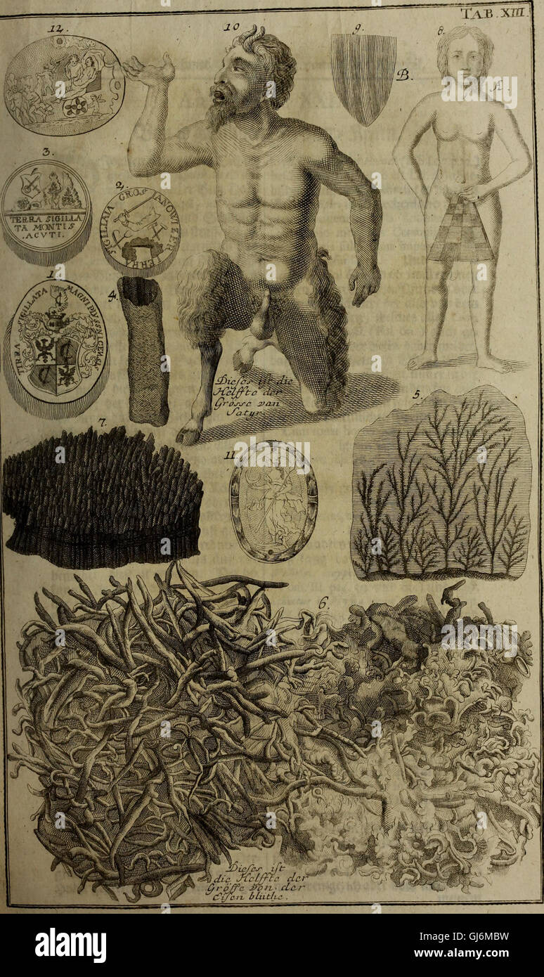 'Rariora Naturae and Artis' (1737) est un ouvrage traitant de merveilles naturelles et artificielles rares, avec un accent sur la collection d'un cabinet d'histoire naturelle et des curiosités médicinales. Il combine art, science et médecine de l'époque. Banque D'Images