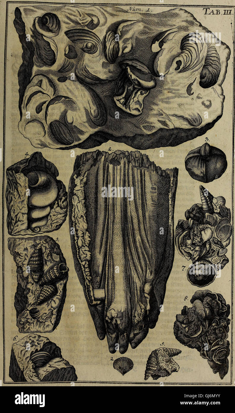 *Rariora Naturae and Artis* (1737) est une œuvre documentant des spécimens naturels et artistiques rares, y compris des objets d'un cabinet de curiosités, ainsi que des artefacts médicaux du début de la période moderne. Le livre explore l'intersection de l'histoire naturelle, de l'art et de la médecine précoce. Banque D'Images