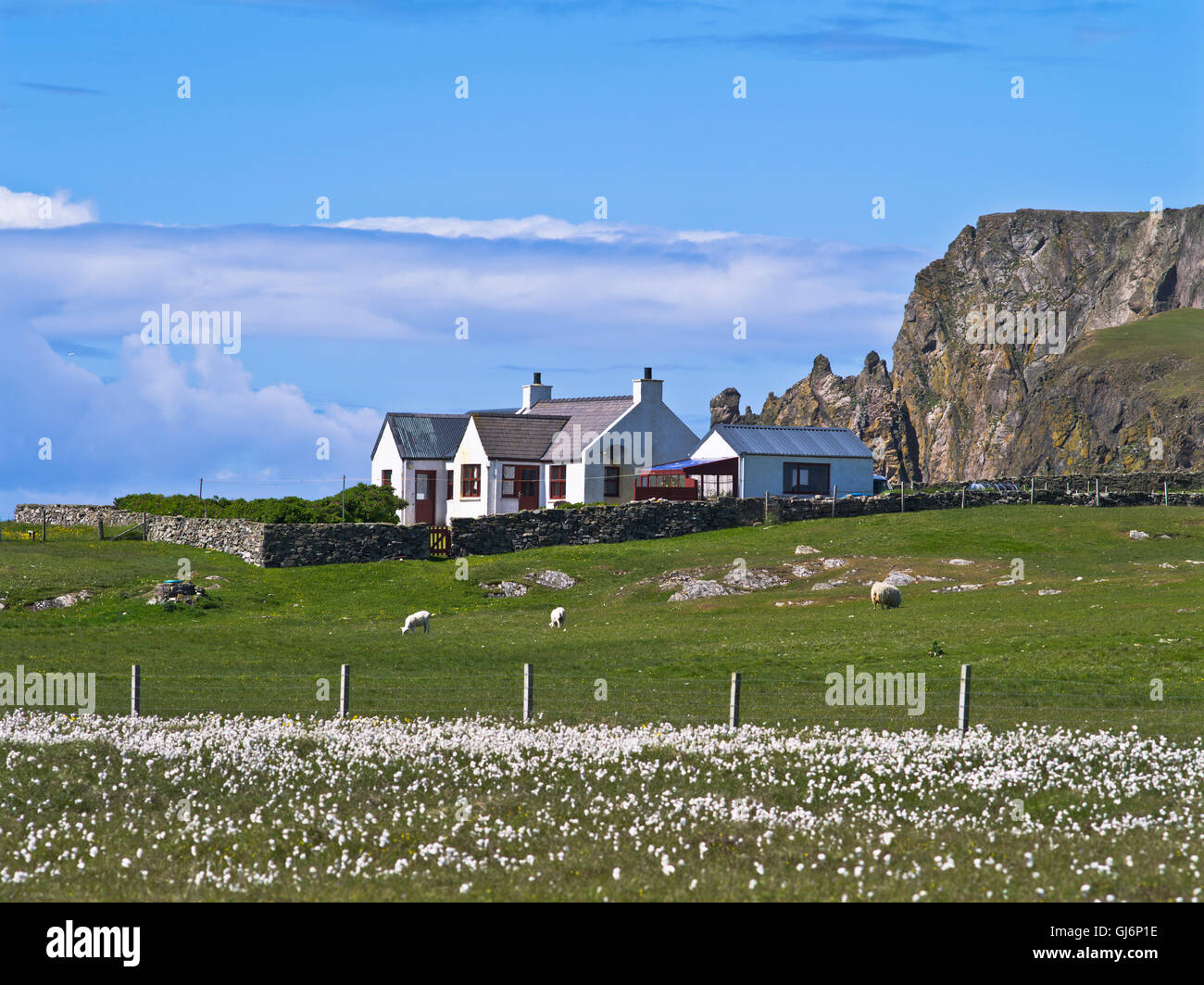 dh Island croft SCOTTISH ISLES FAIR ISLE SCOTTISH Cottage maison des moutons dans le champ petite à distance Banque D'Images