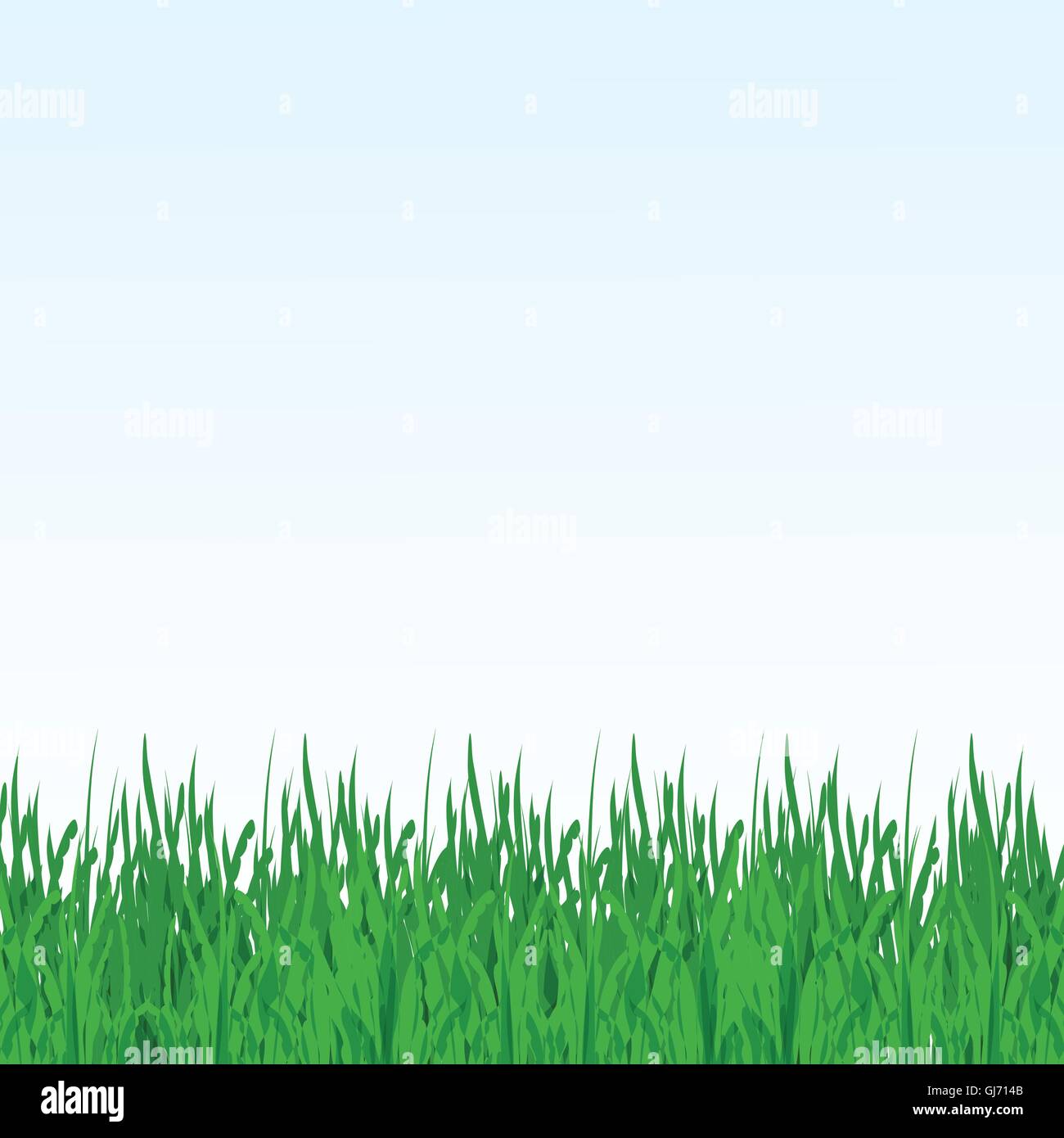 Illustration vecteur champ d'été vert avec des fleurs et l'herbe Illustration de Vecteur