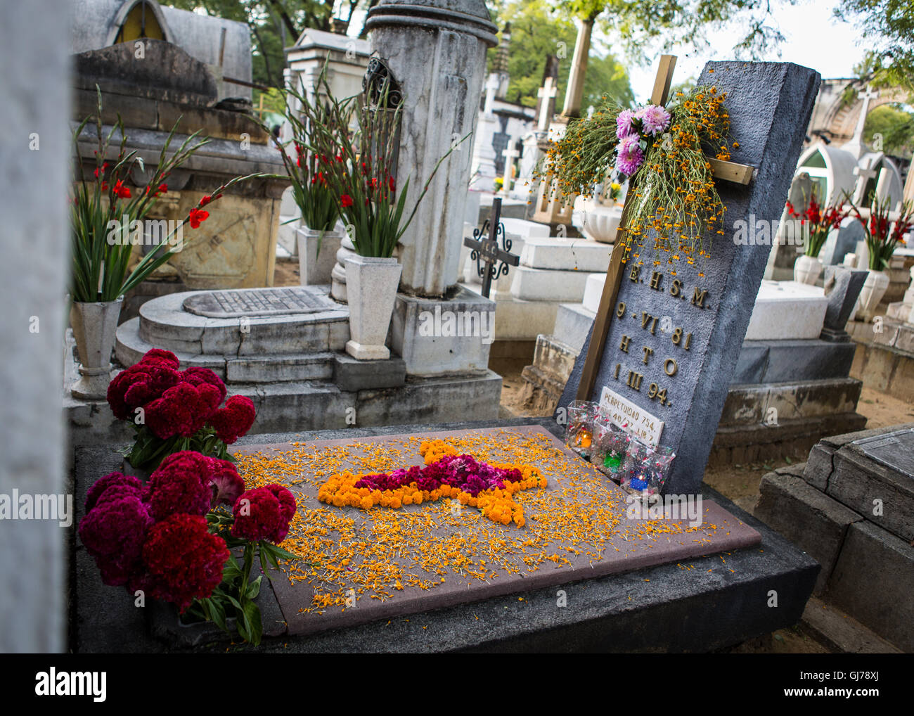 Le Jour des morts, décorations de tombes au cimetière de San Miguel, Oaxaca, Mexique Banque D'Images
