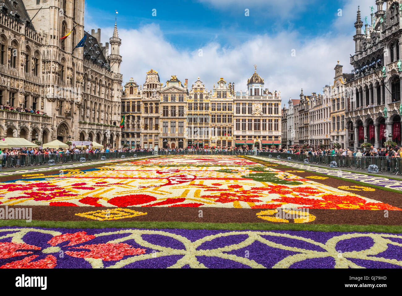 2016 Tapis de Fleurs Bruxelles en Belgique Banque D'Images