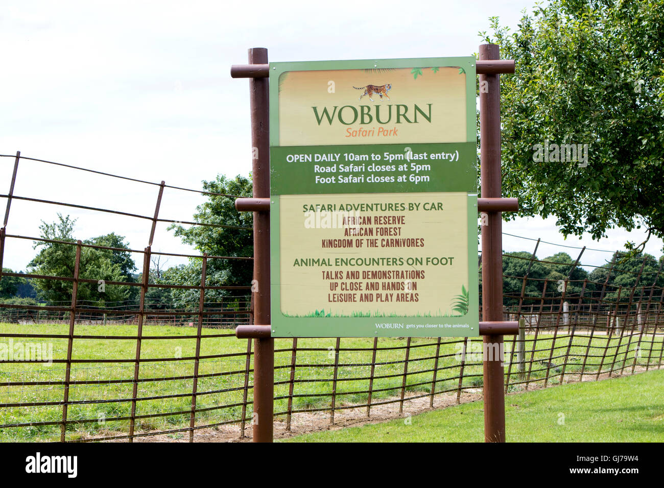 Le parc safari de Woburn Woburn, Bedfordshire, Angleterre Banque D'Images