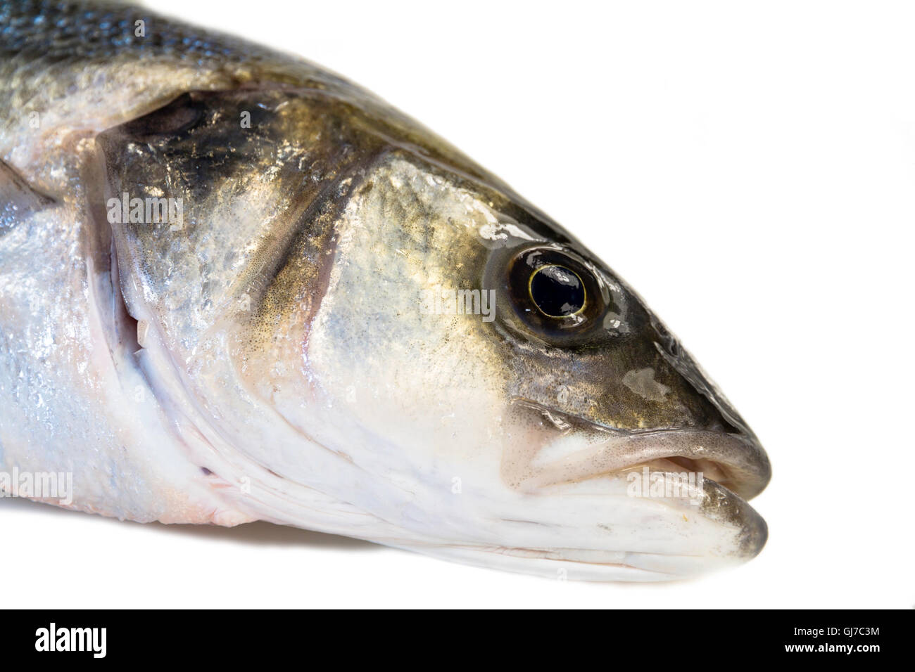 Et fraîchement préparé seul sea bass Banque D'Images