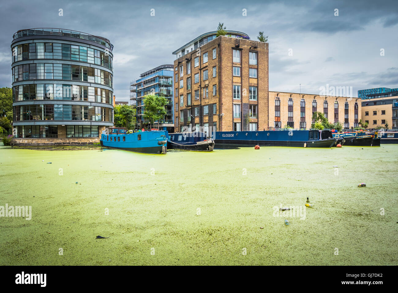 Une barge de rivière bleue entourée d'algues vertes épaisses à Battlebridge Basin Kings Cross, Londres, NW1, Angleterre, Royaume-Uni Banque D'Images