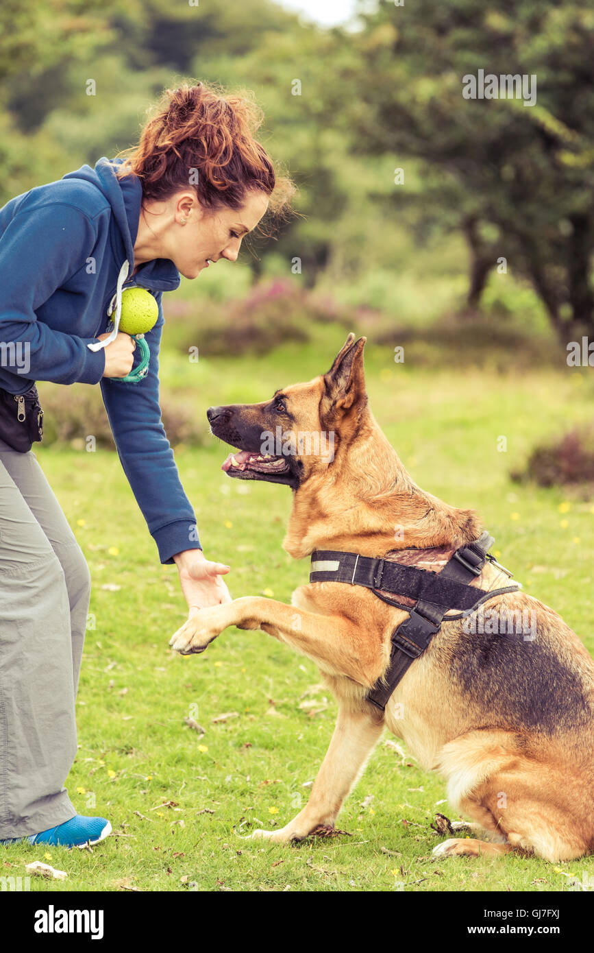 Formateur femme avec chien à l'obéissance de formation Banque D'Images