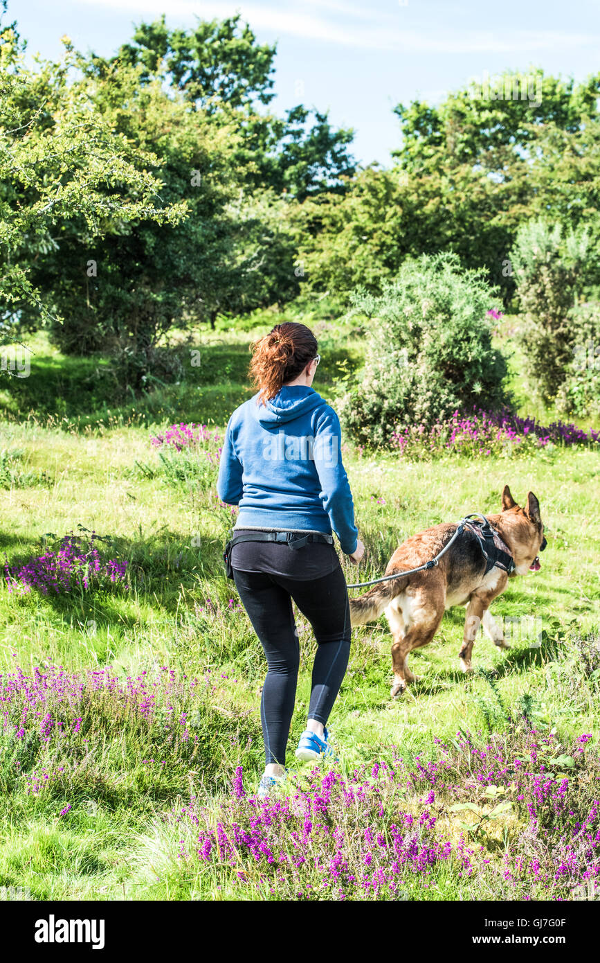 Fit young woman running avec décor de l'automne en plein air de chien Banque D'Images