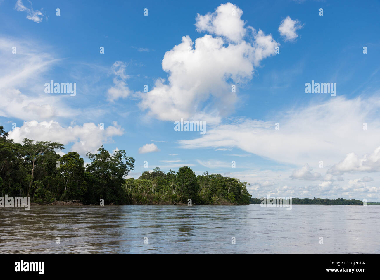 Forêt le long du Rio Napo, affluent de l'Amazone. L'Équateur, en Amérique du Sud. Banque D'Images