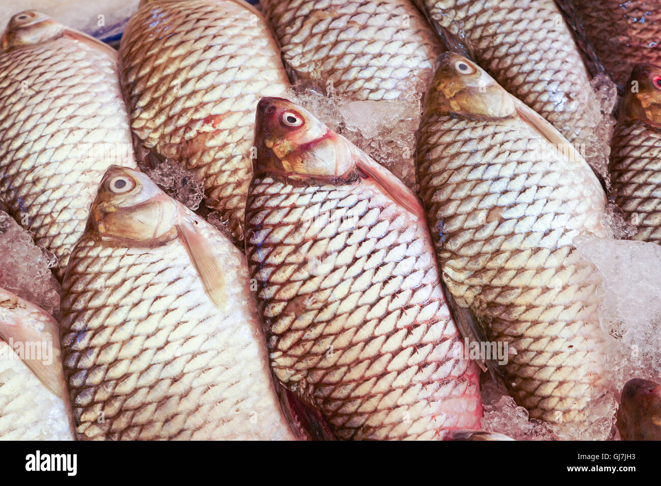 La carpe en matières premières du marché de poissons Banque D'Images