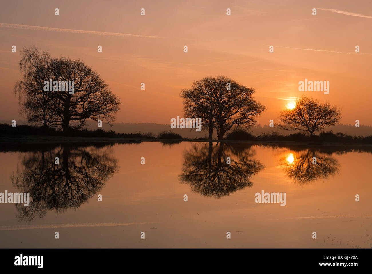 Lever du soleil à Mogshade La nouvelle forêt Étang Hampshire England UK Banque D'Images