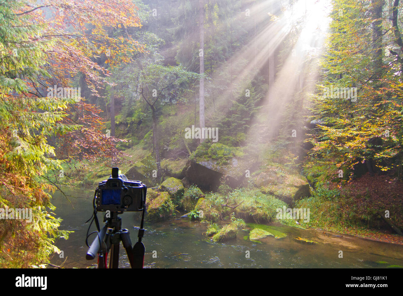 Making-of, appareil photo, trépied, faisceaux de lumière, rivière, bois, la Suisse tchèque, République Tchèque Banque D'Images