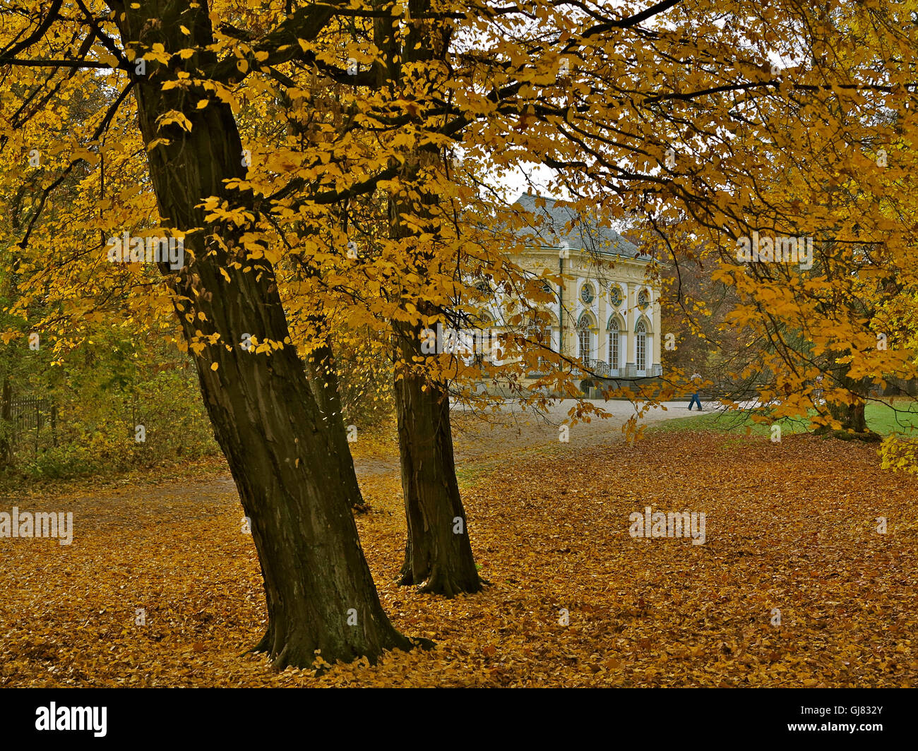 Badenburg, Allemagne, automne, Munich, parc du château de Nymphenburg, Haute-Bavière Banque D'Images