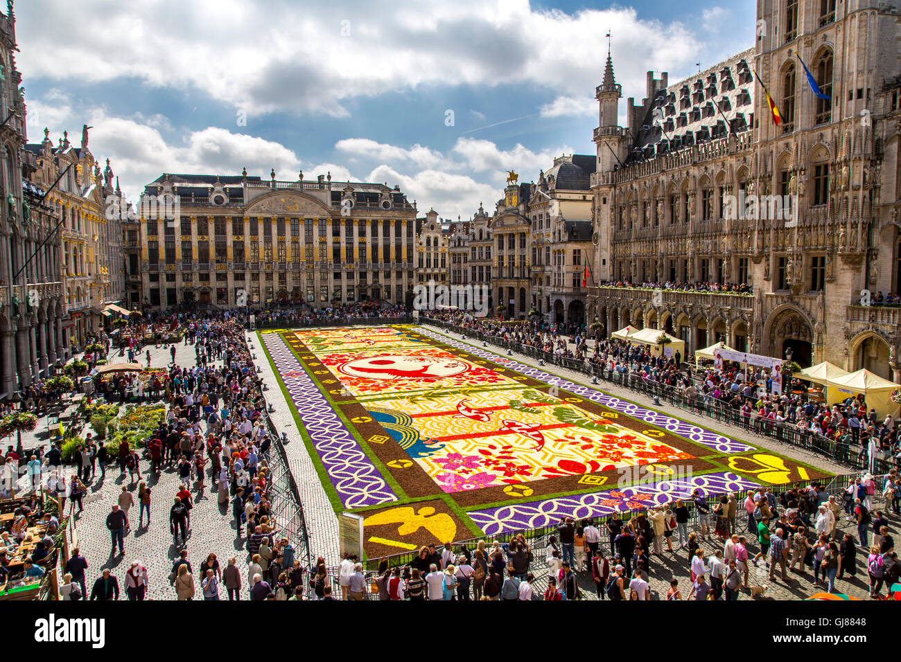 Tapis de Fleurs sur la Grand Place à Bruxelles, Belgique, plus de 600 000 fleurs, bégonias et dahlias, salon de 1800 mètres carrés Banque D'Images