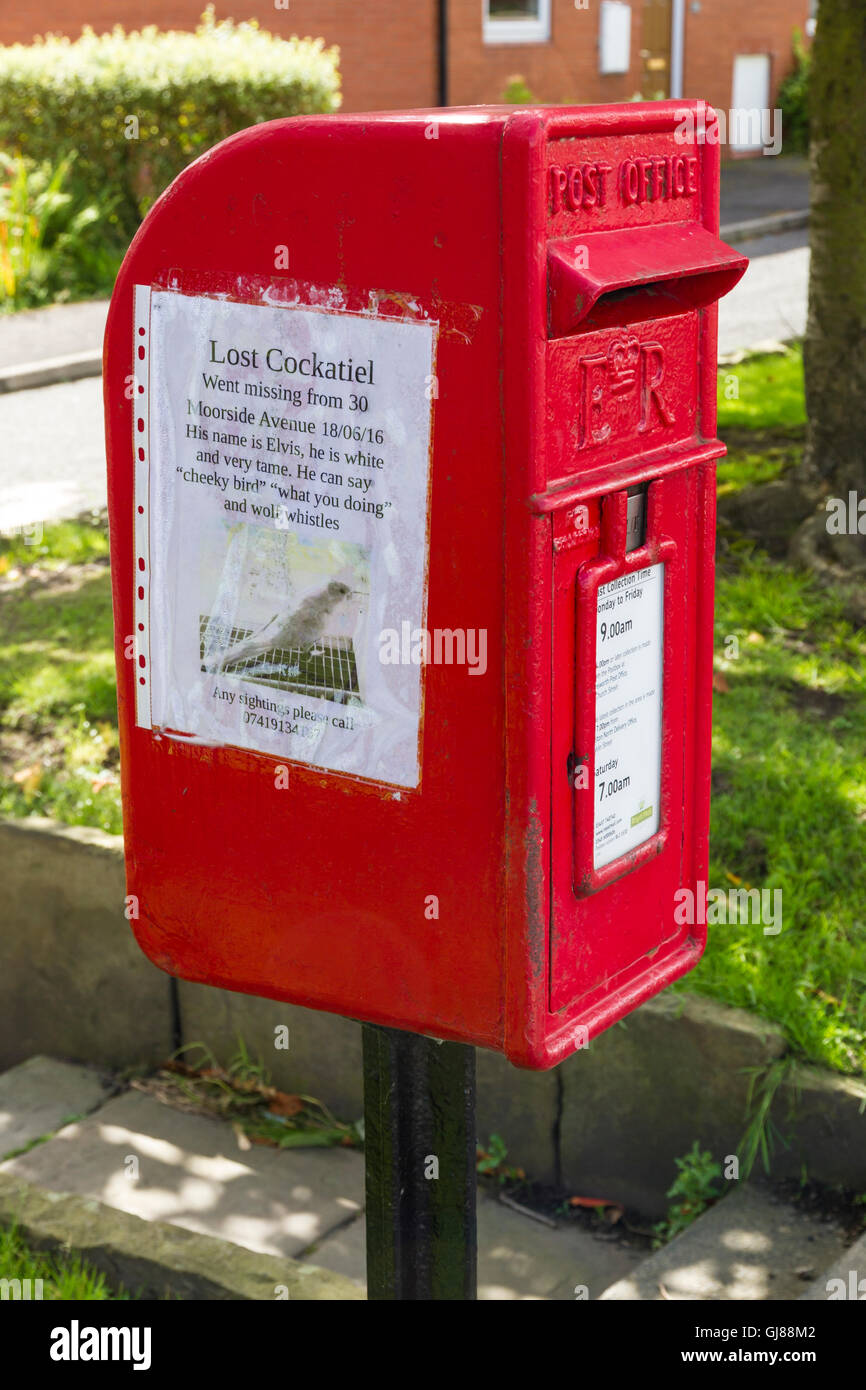 Post box rouge avec affiche pour une calopsitte perdu. Banque D'Images