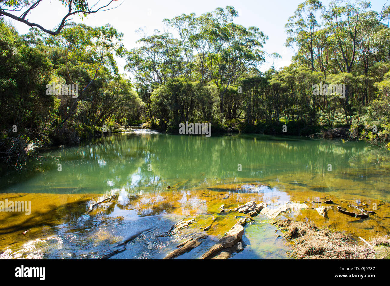 Piscine bleu Missingham Creek Carrington Falls Parc national de Budderoo New South Wales Australie Banque D'Images