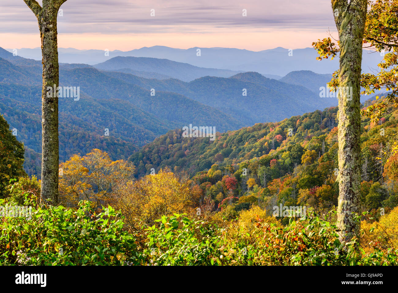 Smoky Mountains National Park, California, USA paysage d'automne à Newfound Gap. Banque D'Images