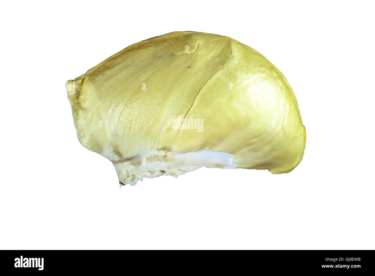 Roi des fruits, durian sur fond blanc avec chemin de détourage. Banque D'Images