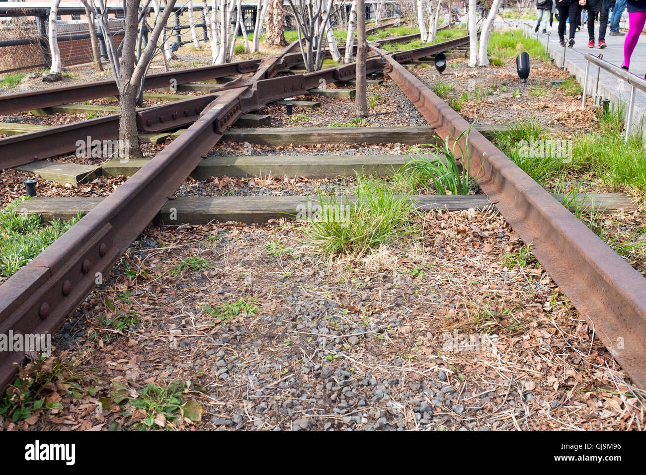 New York City USA Le parc High Line, précédemment une ligne ferroviaire, la route a été réutilisé dans un parc du centre-ville. Banque D'Images