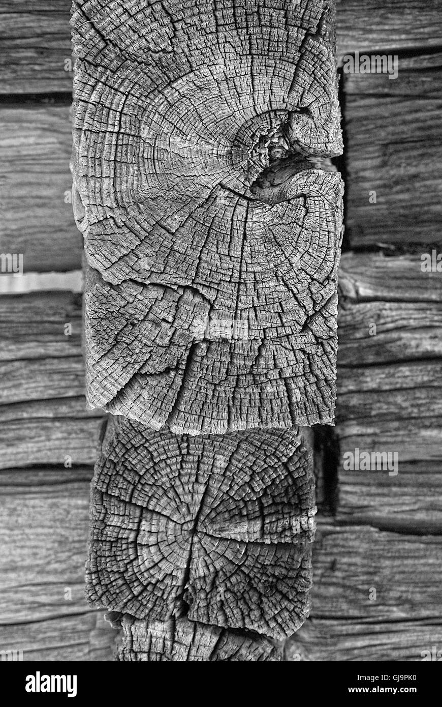 Vieux bois Banque D'Images