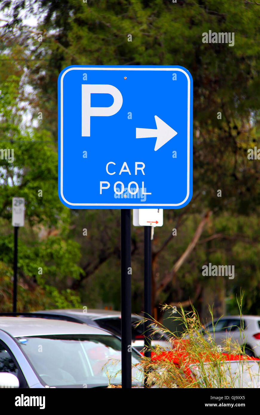 Piscine voiture Parking Sign - Panneau routier australien actuel Banque D'Images