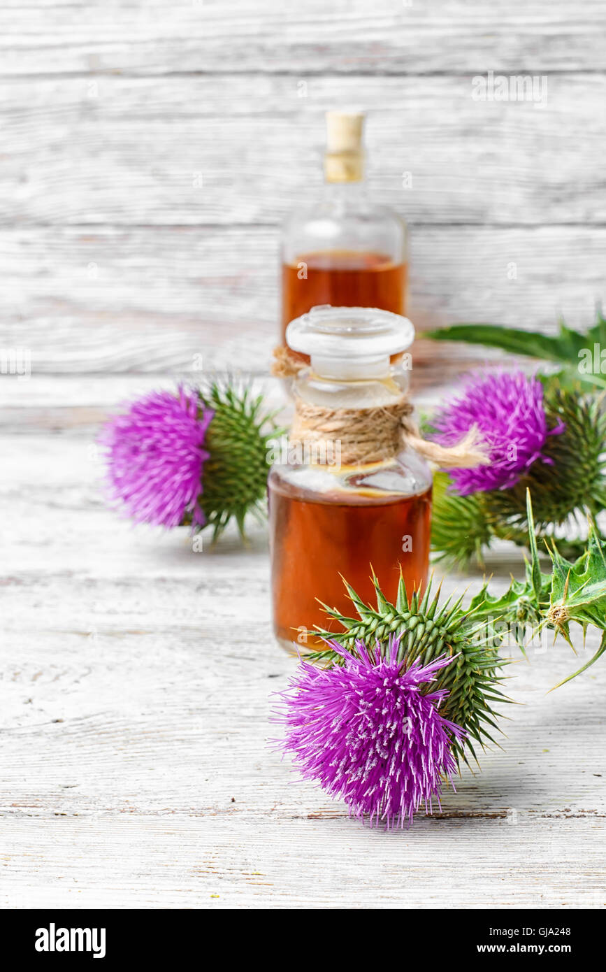 Flacon en verre avec des médicaments thérapeutiques la floraison le chardon de lait Banque D'Images