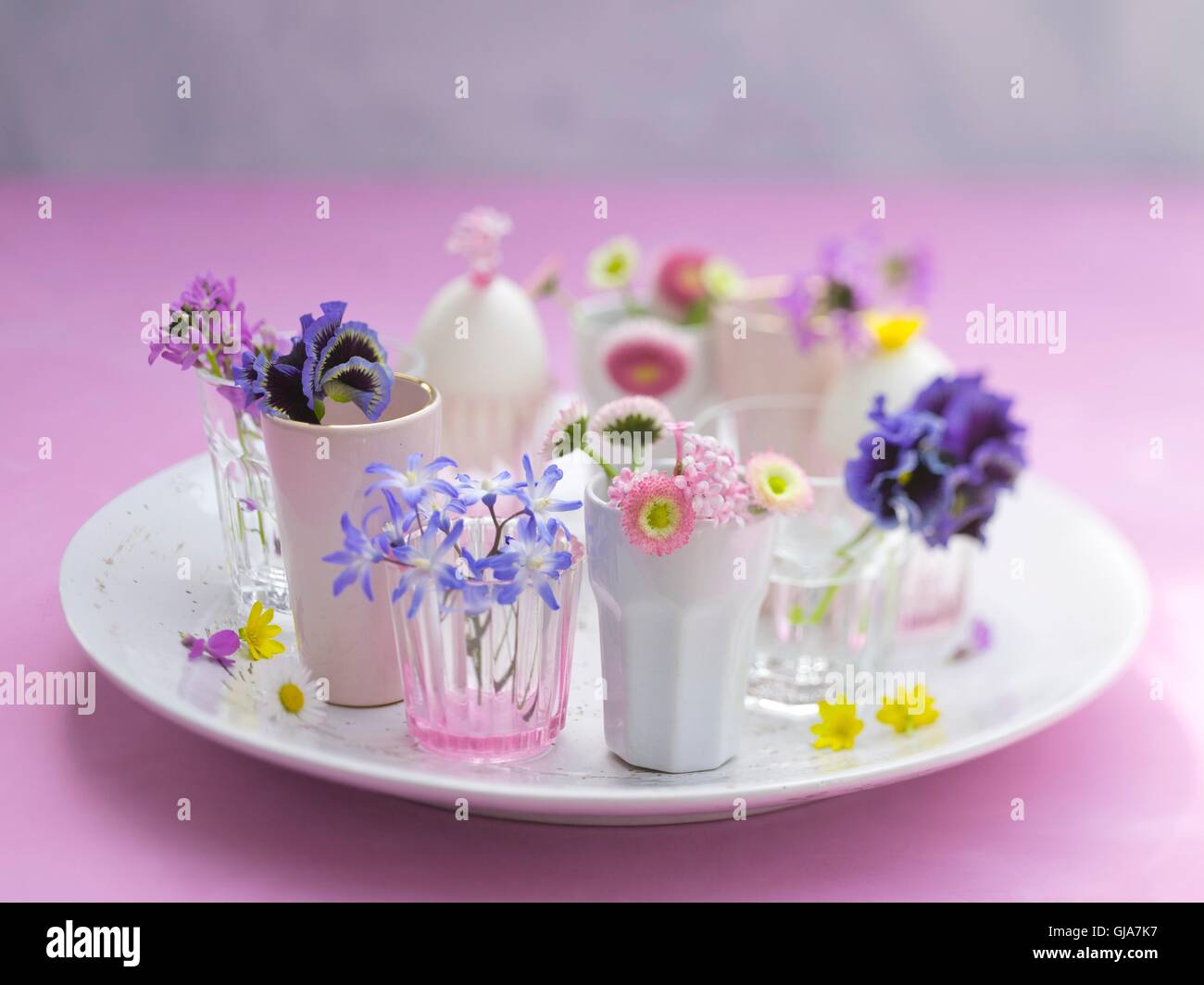 Des tasses avec des fleurs sur la plaque de grès, de capitules, des fleurs de printemps, fleurs, petits vases de verre, vases, vases à fleurs, petites, vases en porcelaine, grès, petite assiette, blanc, différentes fleurs de printemps, fraîchement, coloré, printanier, moderne, Pâques, Easte Banque D'Images