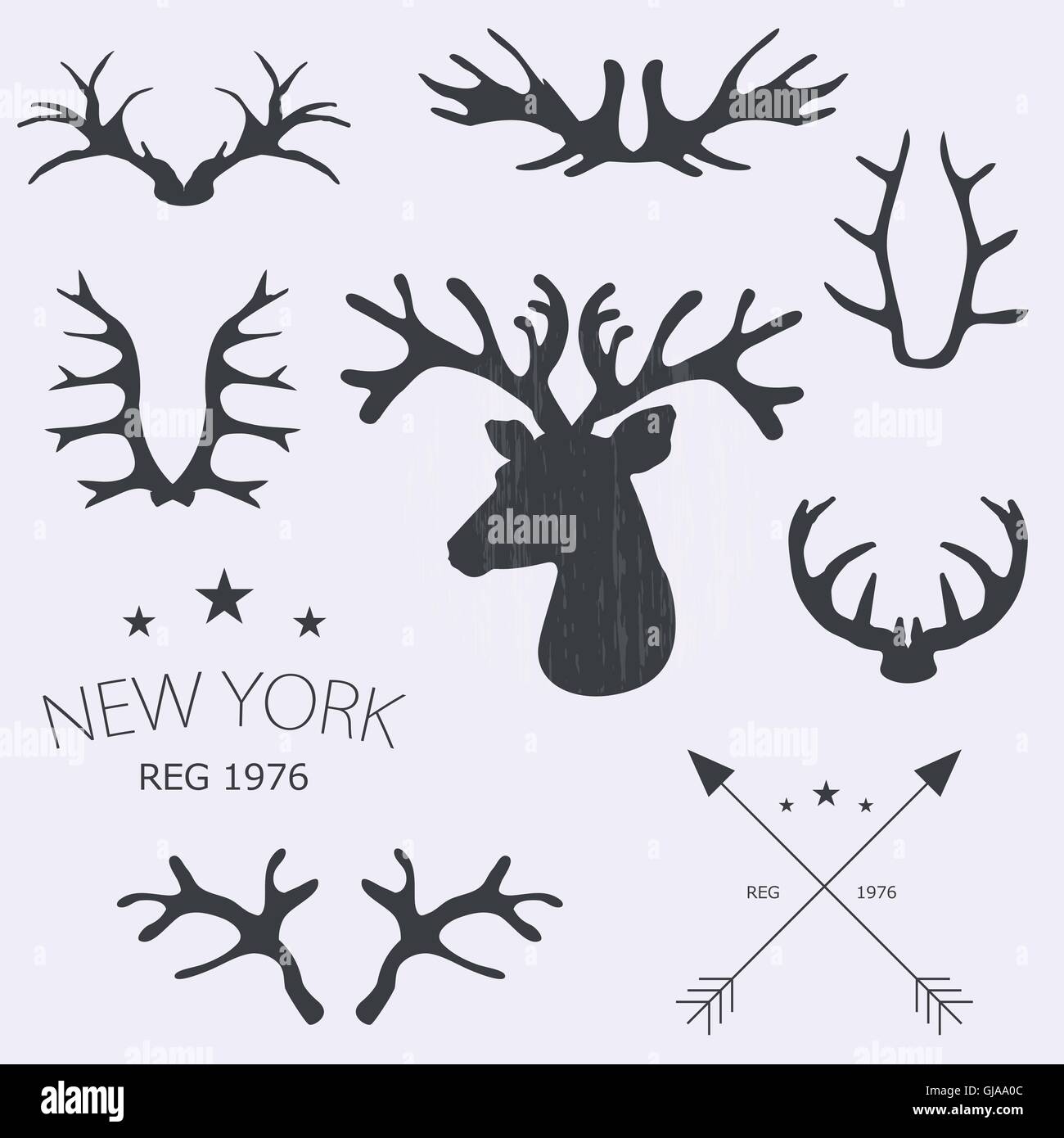 Jeu de cornes de cerf. Vector illustration. Illustration de Vecteur