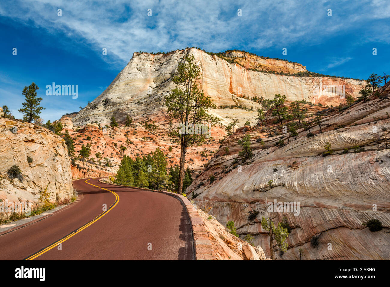 Crossbedded formation slickrock, le long de Sion - Mont Carmel l'Autoroute, Près de l'entrée Est, Zion National Park, Utah, USA Banque D'Images