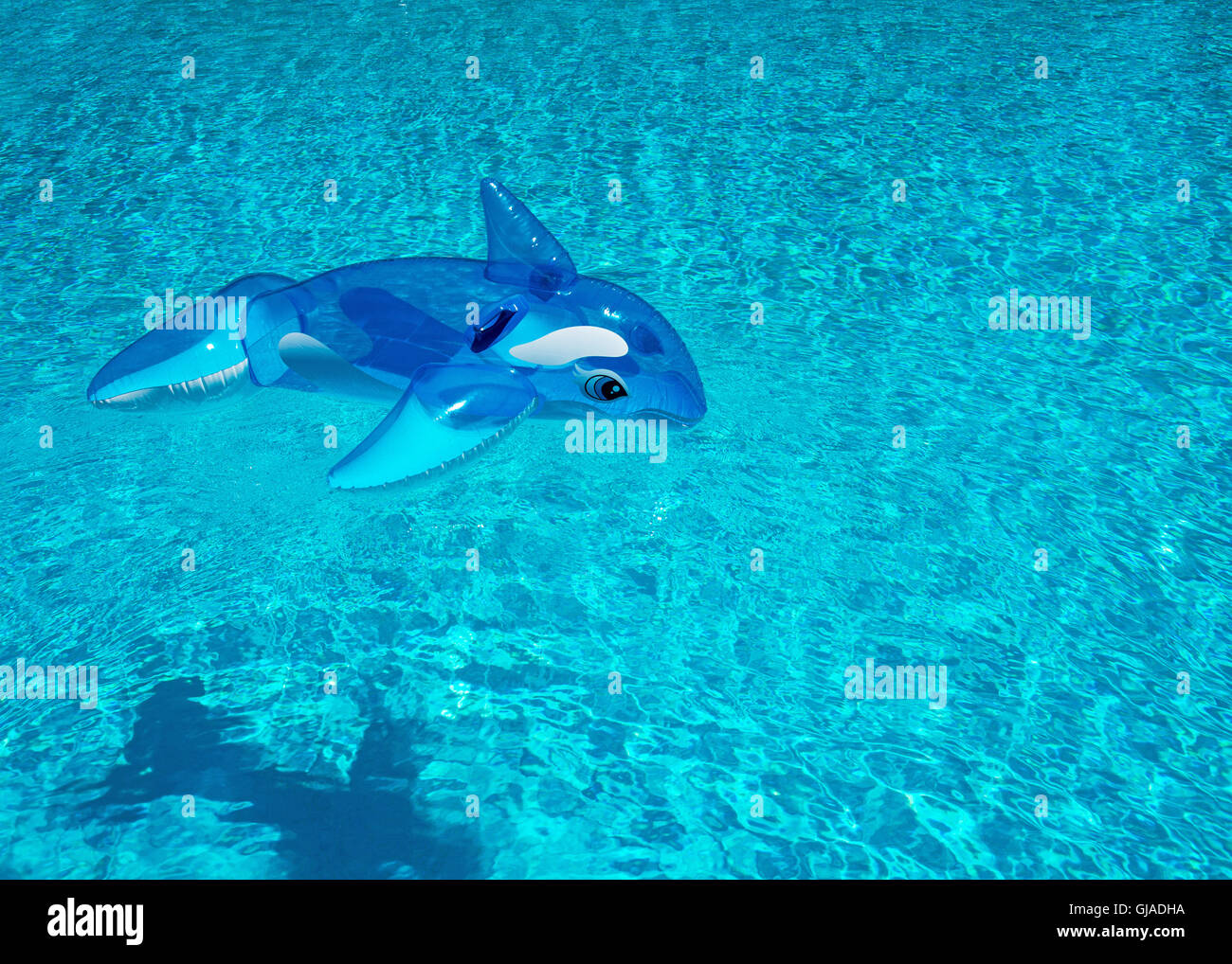 Un dauphin gonflable toy shot par le haut dans une piscine profonde, prix pour le texte ou copiez espacés Banque D'Images