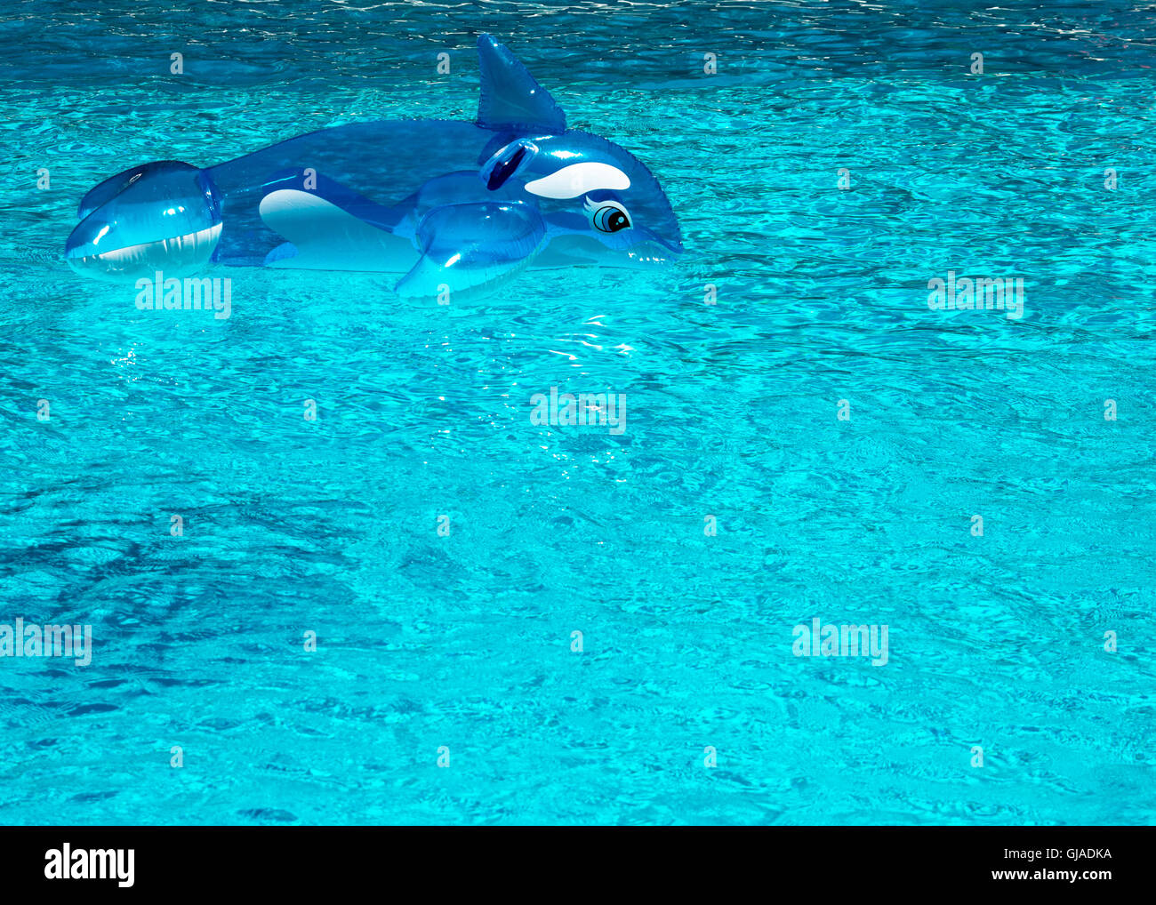 Un dauphin gonflable toy laissé dans une piscine place pour le texte ou copiez espacés Banque D'Images