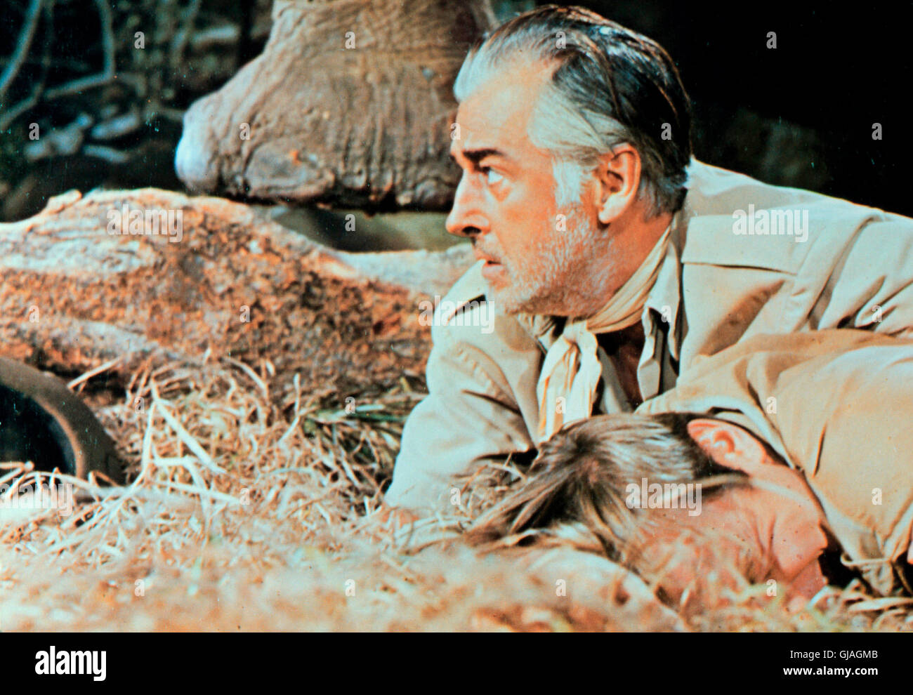 DIE LETZTE SAFARI - Der Großwildjäger Gilchrist (STEWART GRANGER) dont ist den Killer-Elefanten besessen, Big Red zu erlegen, der einst seinen besten Freund. zertrampelt... Regie : Henry Hathaway aka. Le dernier Safari Banque D'Images