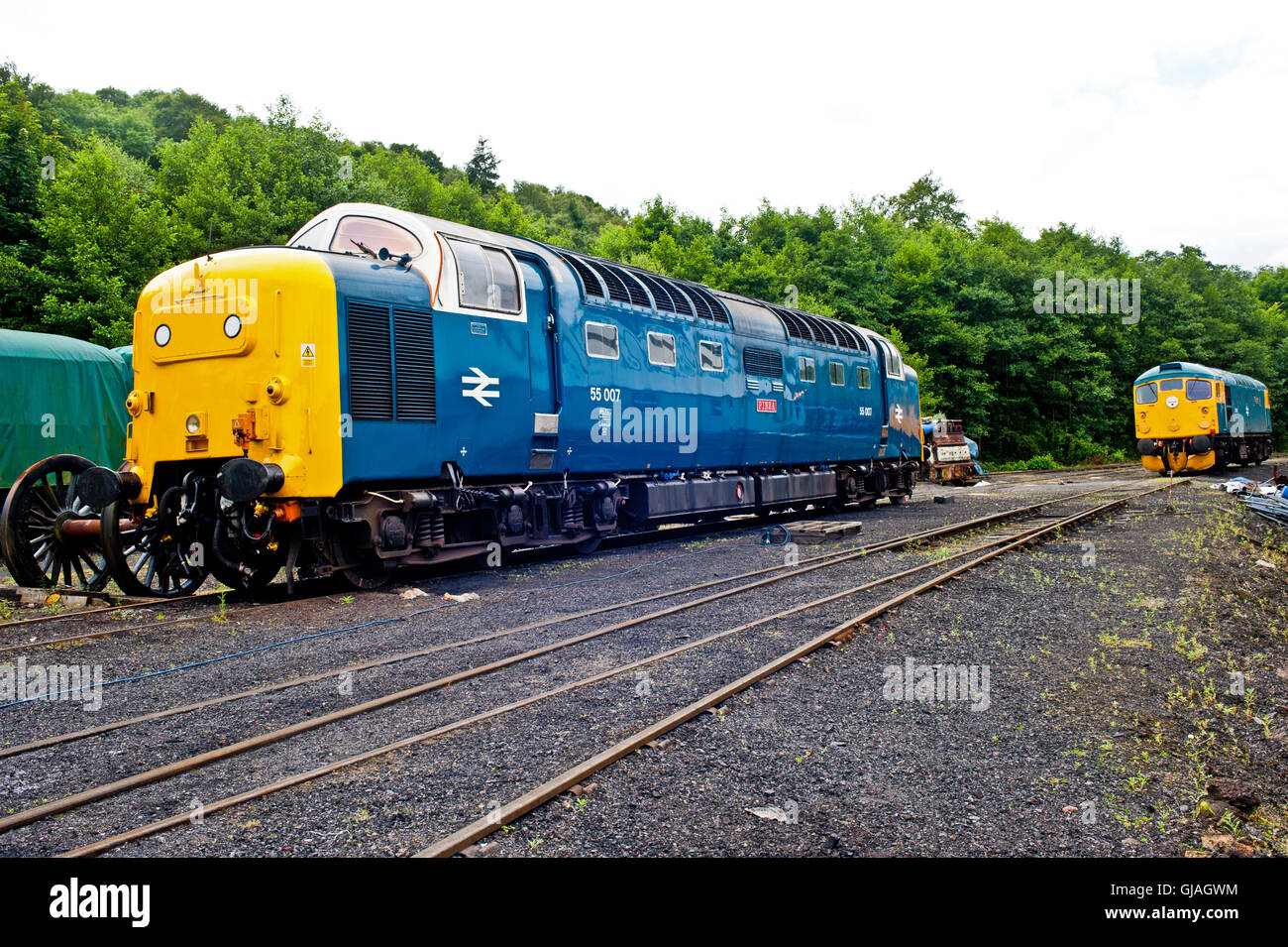 Classe 55007 Deltic Pinza à Grosmont, North Yorkshire Moors Railway le 15 août 2016 Banque D'Images