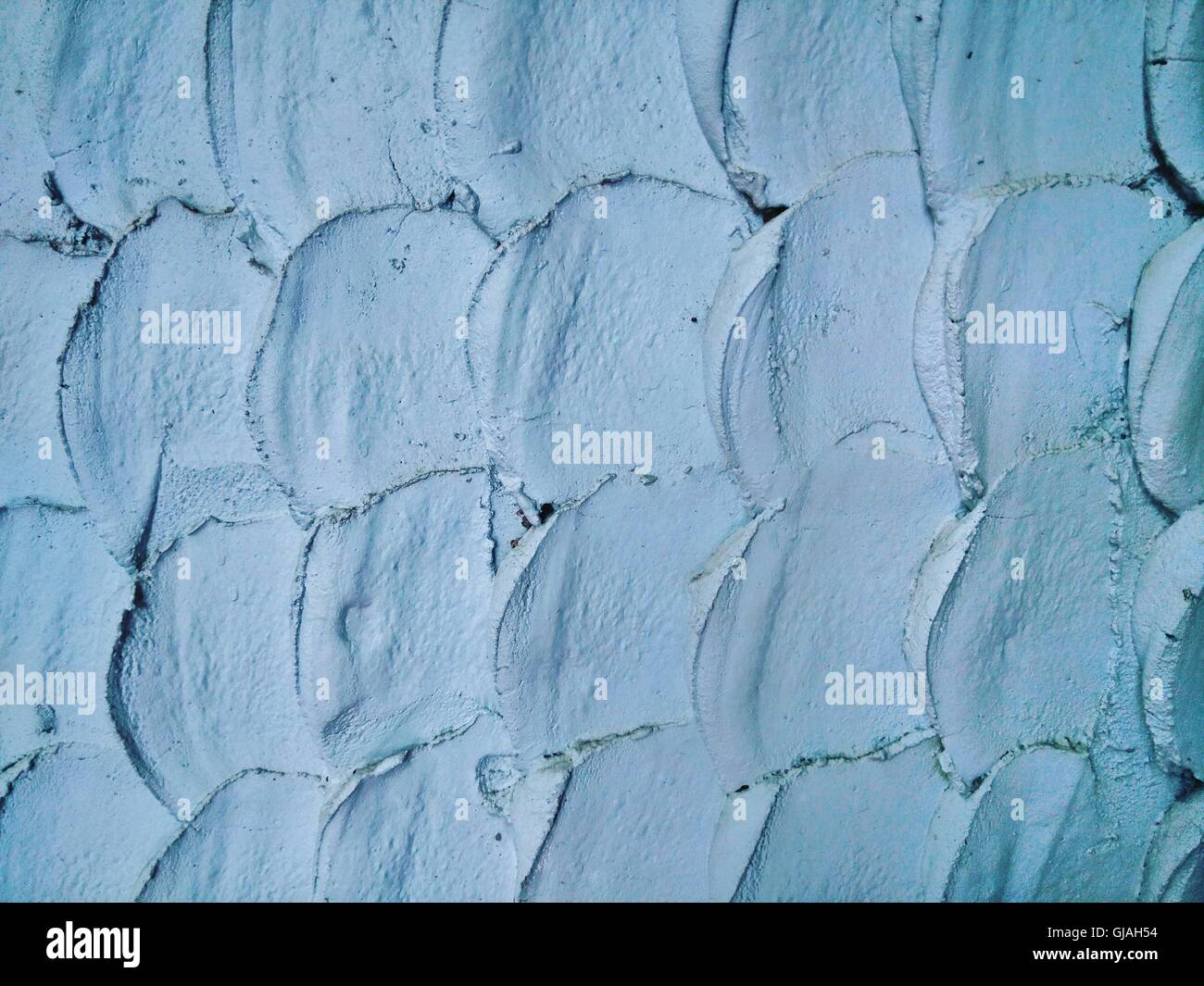 Odeur de poisson écailles sur mur de ciment Banque D'Images