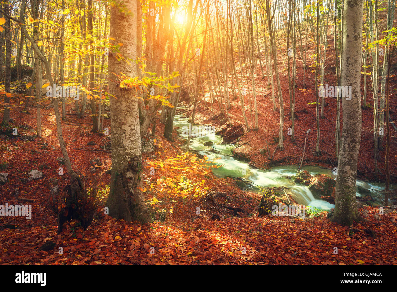 Paysage d'automne avec vue rivière et arbres avec orange et feuilles rouges. La forêt de montagne au coucher du soleil en Crimée. Nature Banque D'Images