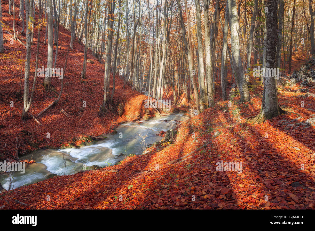 Paysage d'automne avec vue rivière et arbres avec orange et feuilles rouges. La forêt de montagne au coucher du soleil en Crimée. Nature Banque D'Images