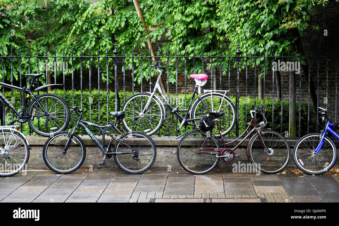 Cambridge Cambridgeshire UK - Vélos et cyclistes dans la rue Banque D'Images