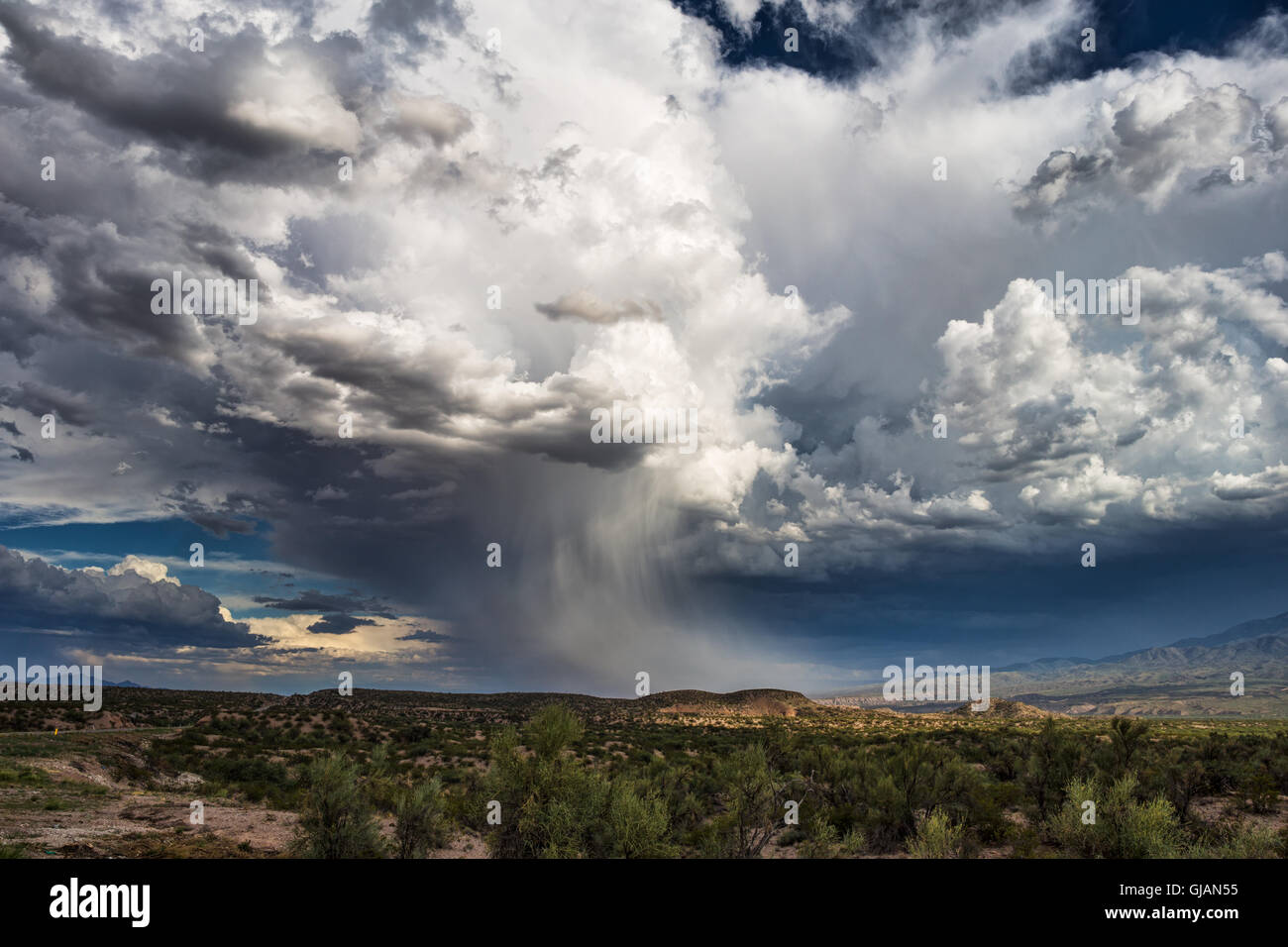 Des nuages spectaculaires de cumulonimbus d'une tempête près de Byles, en Arizona Banque D'Images