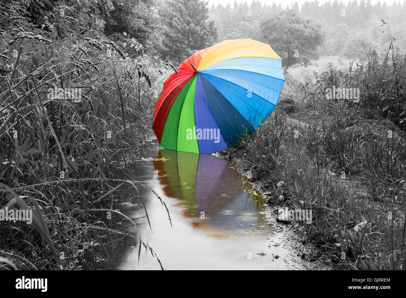 Grand parapluie de couleur se reflète dans une flaque - paysage en vue monochrome Banque D'Images