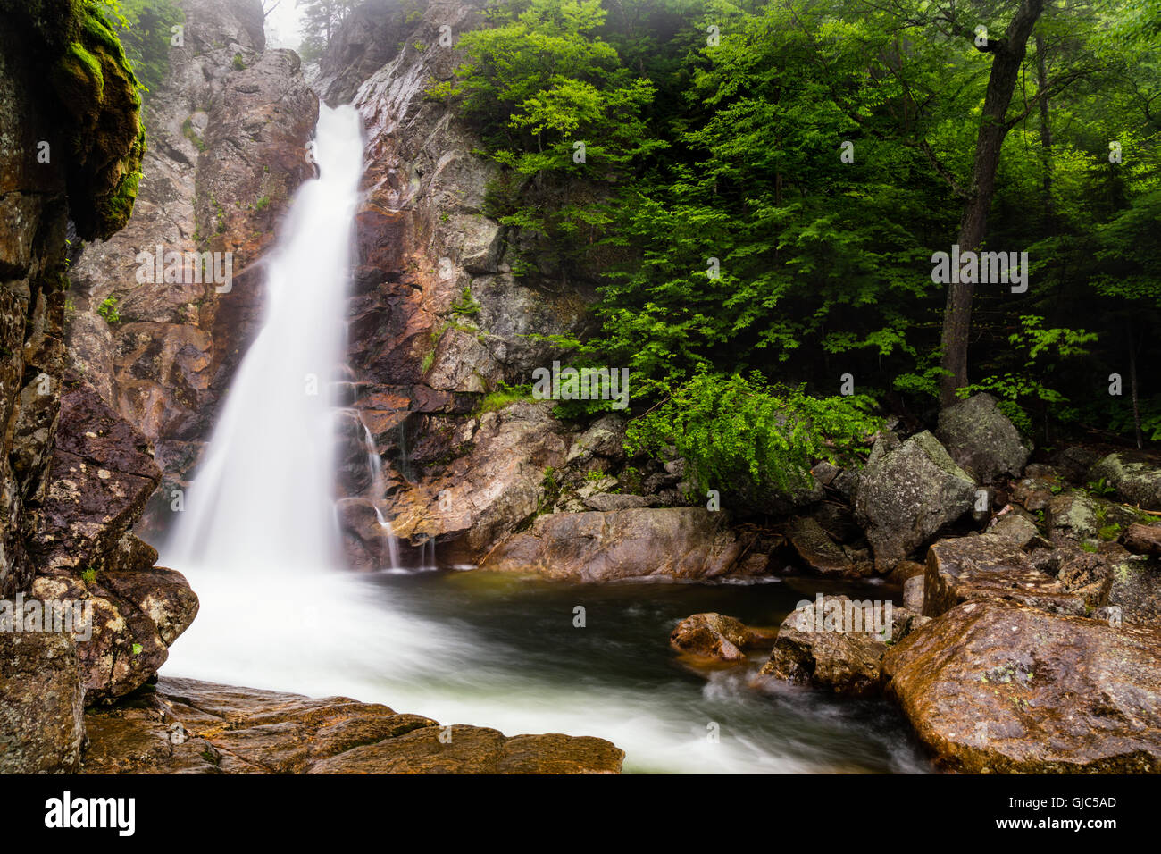 Glen Ellis Falls, Jackson, New Hampshire Banque D'Images