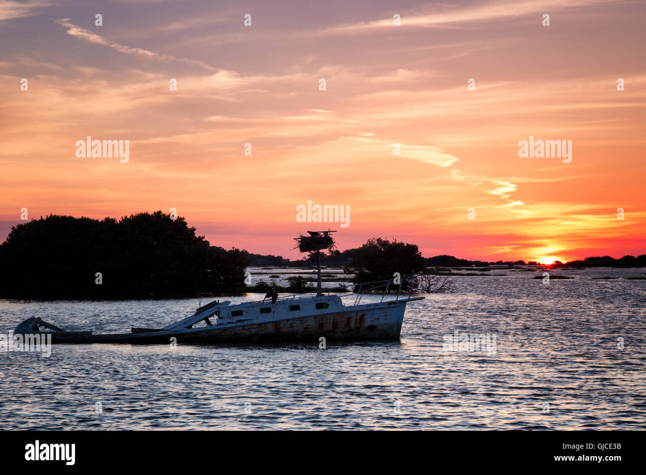 Coucher de soleil en bateau coulé, Cedar Key, Floride Banque D'Images
