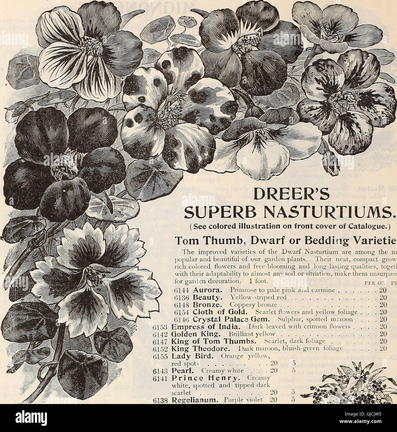 Le calendrier du jardin de Dreer 1899 est un guide de jardinage fournissant des conseils sur la plantation, la culture et l'entretien de diverses fleurs, légumes et plantes tout au long de l'année. Banque D'Images